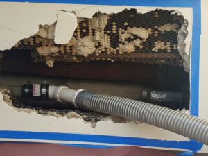 How Trenchless Pipe Rehabilitation Can Benefit Your Business